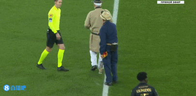 其阵容结构